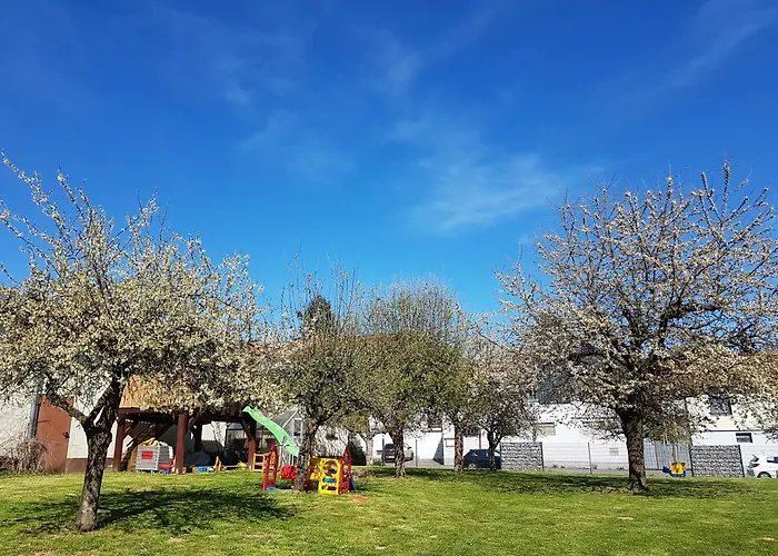 Tolle Untergeschoss-Wohnung Fuer Bis Zu 5 Personen Mit Grossem Garten Und Terrasse