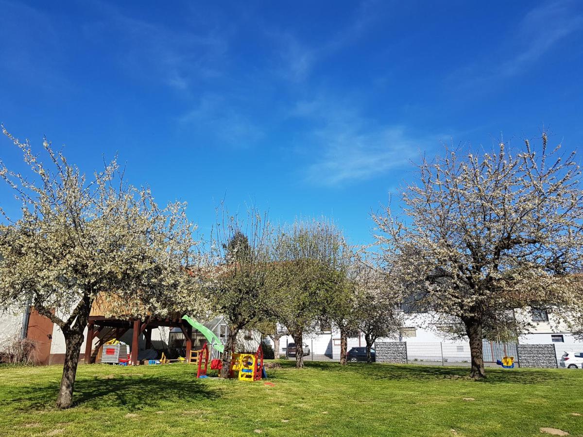 Tolle Untergeschoss-wohnung Fuer Bis Zu 5 Personen Mit Grossem Garten Und Terrasse